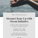 stream clean up poster