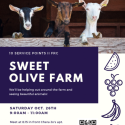 sweet olive poster
