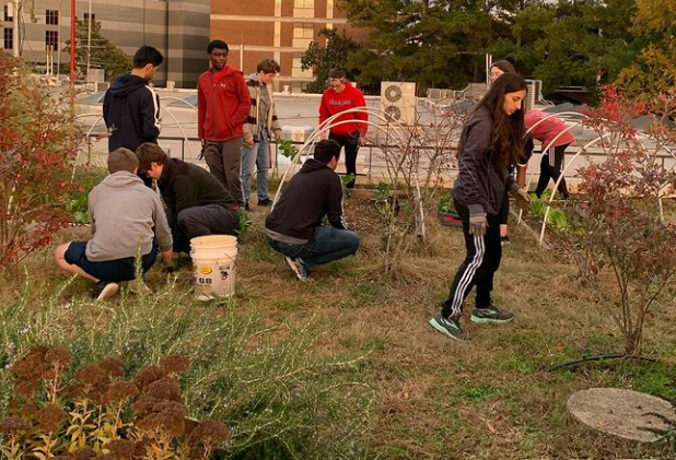 FRC Green Roof Garden Service event in 2018