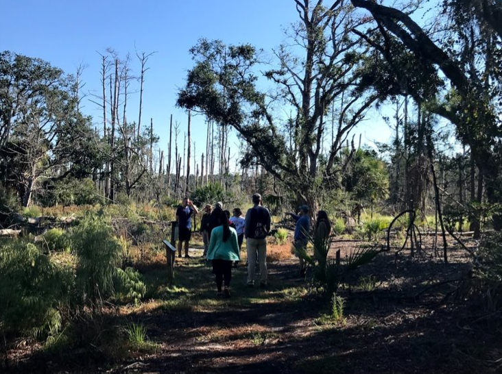 Ecology nature hike at Sapelo led by Dr. Gannon