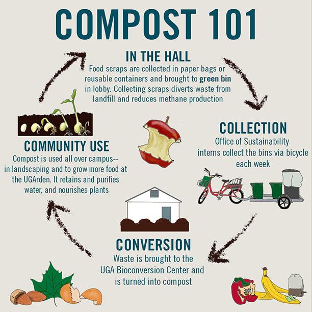 Composting 101 in the Residence Halls