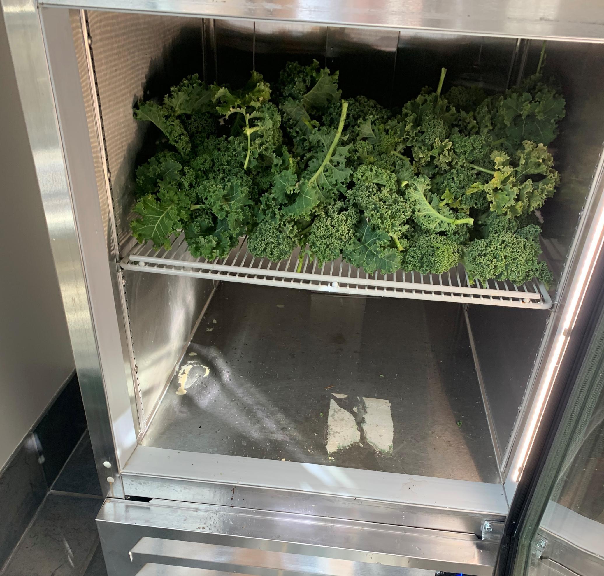 Kale donated to food pantry