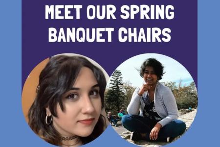 Spring Banquet Chairs 